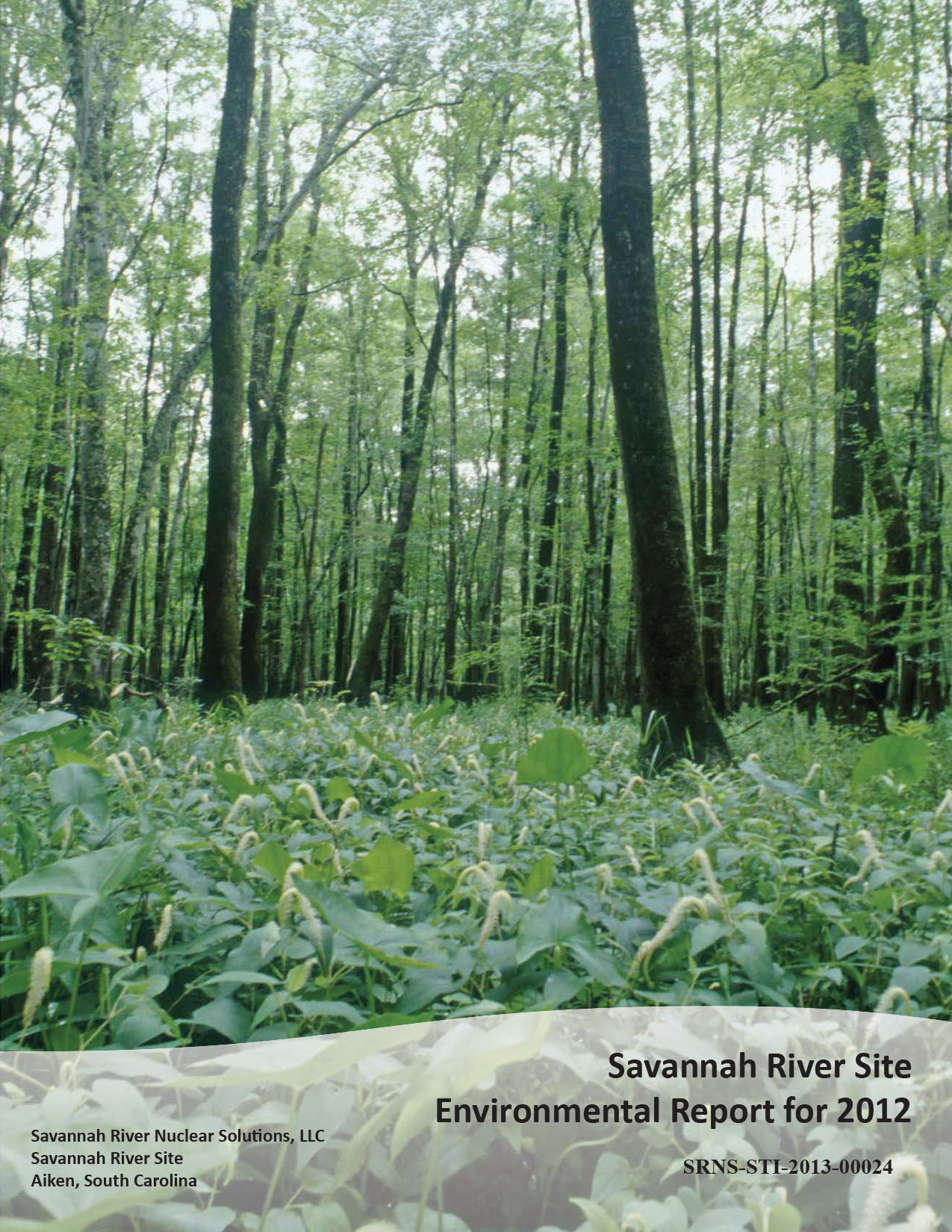 2012 SRS Environmental Report Cover