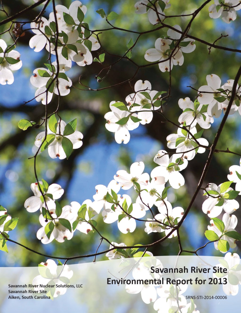 SRS Environmental Report 2013