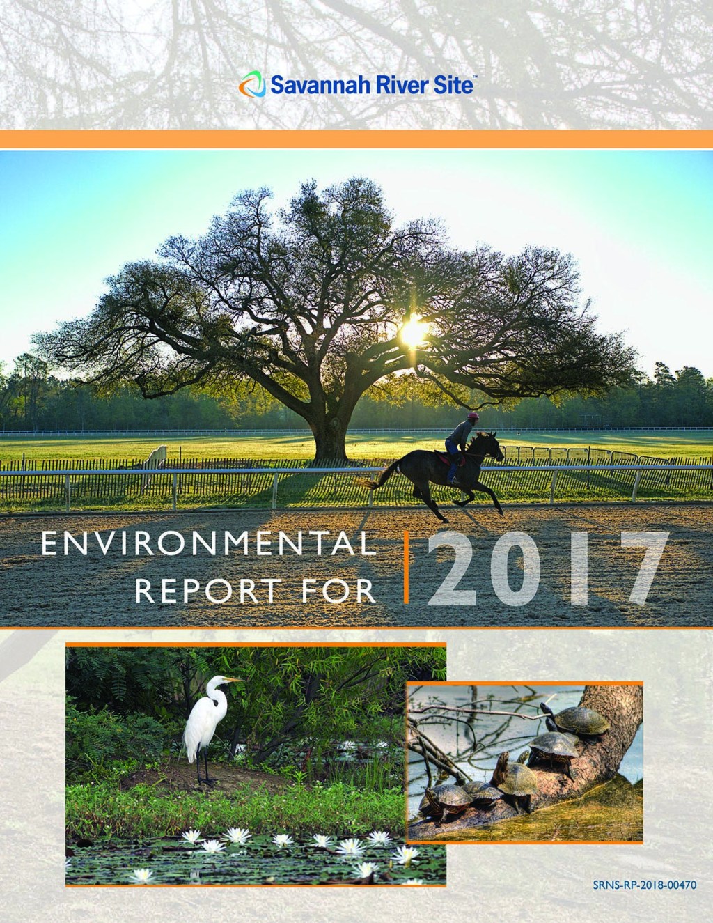 SRS Environmental Report 2017