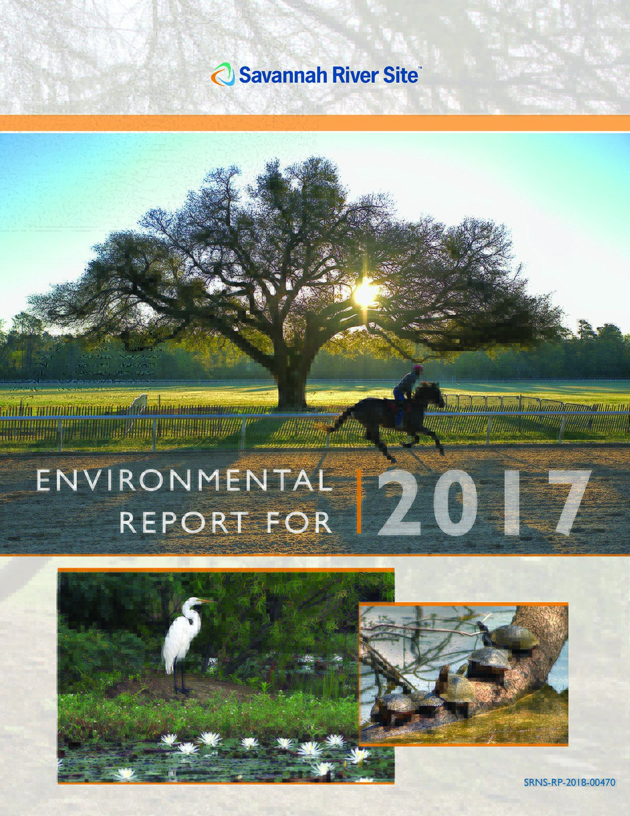 SRS Environmental Report 2017