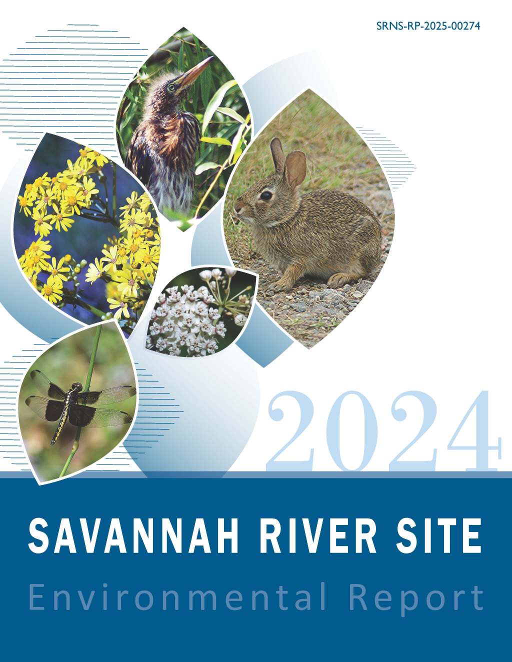 2024 SRS Annual Environmental Report Released